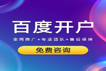 竞价推广实战案例：网络营销秘诀